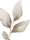 Neutral Simplicity Leaves 1 Art Print