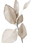 Neutral Simplicity Leaves 3 Art Print
