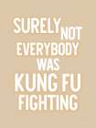 Kung Fu Fighting Art Print