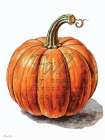 Fall - Favorite Season of All Art Print