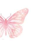 Pink Butterfly IV Art Print