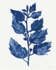 Nature in Indigo 4 Art Print