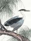 Perched Heron Art Print by Stellar Design Studio