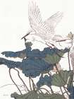 Egret in Flight Art Print by Stellar Design Studio