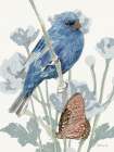 Bird and Butterfly Art Print by Stellar Design Studio