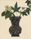 Ebony Vase 1 Art Print by Stellar Design Studio