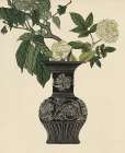 Ebony Vase 2 Art Print by Stellar Design Studio