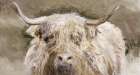 Highland Cow Art Print by Stellar Design Studio