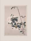 Vintage Floral Art Print