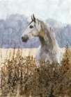 Beauty Art Print