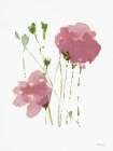 Flower 1 Art Print