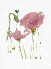 Flower 2 Art Print