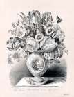 The Flower Vase Art Print