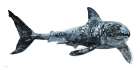 Shark Swim Art Print by Stellar Design Studio