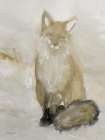 Abstract Fox II Art Print