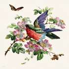 Parakeet on Branch 2 Art Print