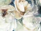 Macro Blooms Art Print