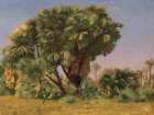 Study of Palm Trees Art Print