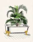 Bathtub Palms 2 Art Print