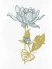 Country Side Bloom 4 Art Print by Stellar Design Studio