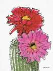 Cactus Flower 1 Art Print by Stellar Design Studio