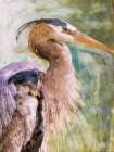 Blue Heron Art Print by Stellar Design Studio