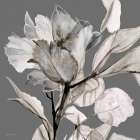 Floral in Gray 2 Art Print by Stellar Design Studio