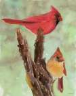 Cardinal 1 Art Print by Stellar Design Studio