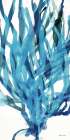 Soft Seagrass in Blue 2 Art Print by Stellar Design Studio