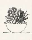 Succulent Basket I Art Print by Stellar Design Studio