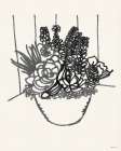 Succulent Basket II Art Print
