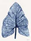 Indigo Leaf Art Print by Stellar Design Studio