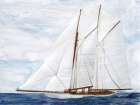 Sailing Art Print by Stellar Design Studio