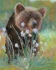 Baby Brown Bear Art Print by Stellar Design Studio