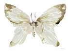 Neutral Butterfly I Art Print by Stellar Design Studio