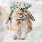 Bella the Bunny Art Print by Stellar Design Studio