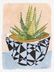 Geo Vase with Succulent Art Print by Stellar Design Studio