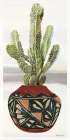 Cactus in Pot 2 Art Print by Stellar Design Studio