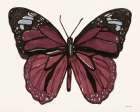 Papillon 6 Art Print by Stellar Design Studio