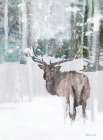 Grand Elk 2 Art Print by Stellar Design Studio