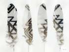 Feathers 1 Art Print by Stellar Design Studio