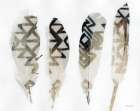 Feathers 2 Art Print by Stellar Design Studio