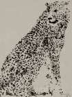 Cheetah Art Print by Stellar Design Studio