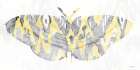 Yellow-Gray Patterned Moth 1 Art Print by Stellar Design Studio