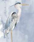Heron 3 Art Print