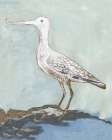 Sea Bird 2 Art Print
