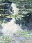 Water Lilies Art Print by Stellar Design Studio