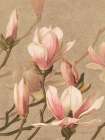 Antique Botanical Collection 4 Art Print by Stellar Design Studio