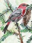 Bird and Branch 1 Art Print by Stellar Design Studio