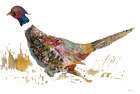 Pheasant 2 Art Print by Stellar Design Studio